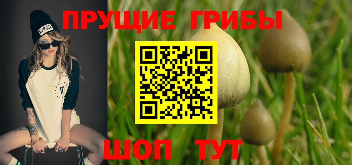 Джанкой  Псилоцибиновые грибы GOLDEN TEACHER  Галлюциногенные грибы мухоморы  Вход с VPN 